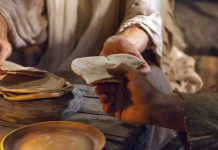 REFLEXÃO DE BOA VONTADE: Compartilhar o pão