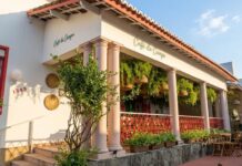 Festival “Campo de Canções” abre inscrições gratuitas e aposta na força da música autoral cearense