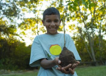 Alok une música e impacto social: Show em Teresina marca o lançamento de projeto de ecoturismo comunitário na Caatinga