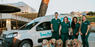 Unimed Soluções lança serviço veterinário completo voltado ao bem-estar de pets e tutores