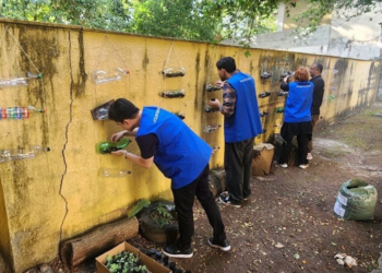 Samsung promove ação social com atividades educativas e revitalização de espaços da ONG Colmeia