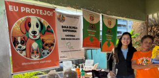 Instituto de Saúde e Gestão Hospitalar mobiliza colaboradores e beneficia instituições sociais com mais de 500 doações