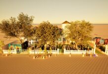 DFB Festival 2026 transforma Fortaleza em vitrine nacional da moda, cultura e economia criativa