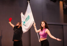 Cursos gratuitos de dança oferecem 250 vagas para formação artística e profissional em julho