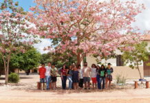 Mostra de cinema infantil une cultura e compromisso ambiental com ações de reflorestamento e compensação de carbono