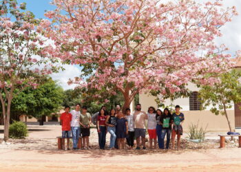 Mostra de cinema infantil une cultura e compromisso ambiental com ações de reflorestamento e compensação de carbono