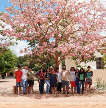 Mostra de cinema infantil une cultura e compromisso ambiental com ações de reflorestamento e compensação de carbono