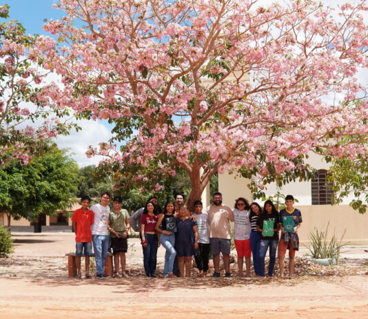Mostra de cinema infantil une cultura e compromisso ambiental com ações de reflorestamento e compensação de carbono