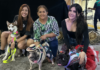 Shopping Benfica realiza Arrai-au com feira de adoção responsável e desfile pet caipira em Fortaleza