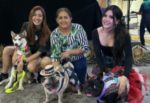 Shopping Benfica realiza Arrai-au com feira de adoção responsável e desfile pet caipira em Fortaleza