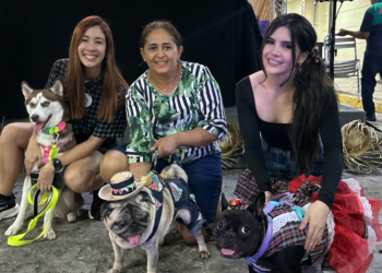 Shopping Benfica realiza Arrai-au com feira de adoção responsável e desfile pet caipira em Fortaleza