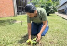 Cerbras marca o Dia Mundial de Proteção às Florestas com ações de reflorestamento e preservação da Caatinga