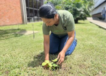 Cerbras marca o Dia Mundial de Proteção às Florestas com ações de reflorestamento e preservação da Caatinga