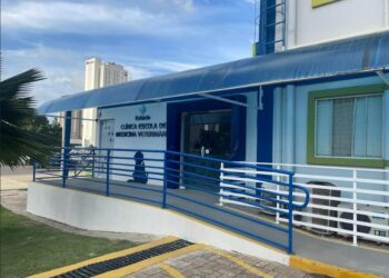 Estácio Ceará oferece atendimento veterinário gratuito para cães e gatos