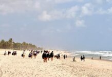 Mutirão reúne 500 voluntários e retira 800 quilos de resíduos da praia de Porto das Dunas