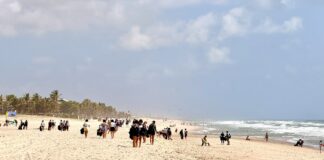 Mutirão reúne 500 voluntários e retira 800 quilos de resíduos da praia de Porto das Dunas