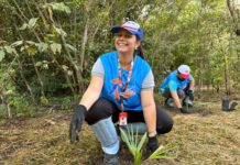 Hidracor planta 50 mudas de carnaúba em ação ambiental