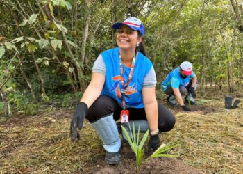 Hidracor planta 50 mudas de carnaúba em ação ambiental