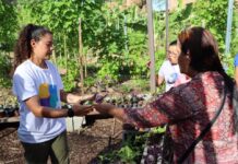 Ecoinec oferece 300 vagas em oficinas gratuitas de agroecologia urbana