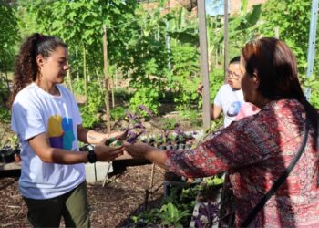 Ecoinec oferece 300 vagas em oficinas gratuitas de agroecologia urbana