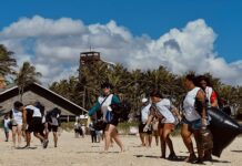 Beach Park reúne 500 voluntários e retira 750 kg de resíduos da praia do Porto das Dunas