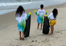 Ação reúne comunidades e projetos socioambientais para limpeza da Praia do Serviluz neste sábado (19)