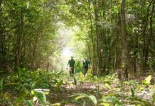 Associação Caatinga oferece curso gratuito sobre restauração ecológica do bioma