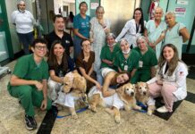 Cães terapeutas levam carinho e momentos de alegria a pacientes do Hospital Estadual Leonardo Da Vinci