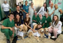 Cães terapeutas levam carinho e momentos de alegria a pacientes do Hospital Estadual Leonardo Da Vinci